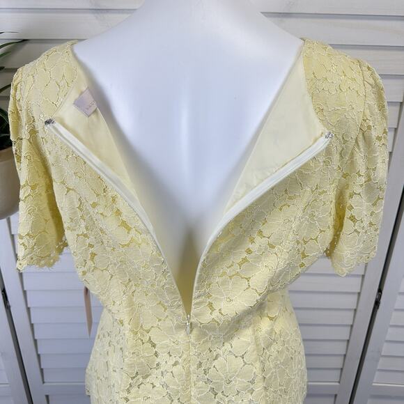 New Rachel Parcell Yellow Clover Lace Blouse Top Short Flutter Sleeve Size‎ L - Picture 9 of 11